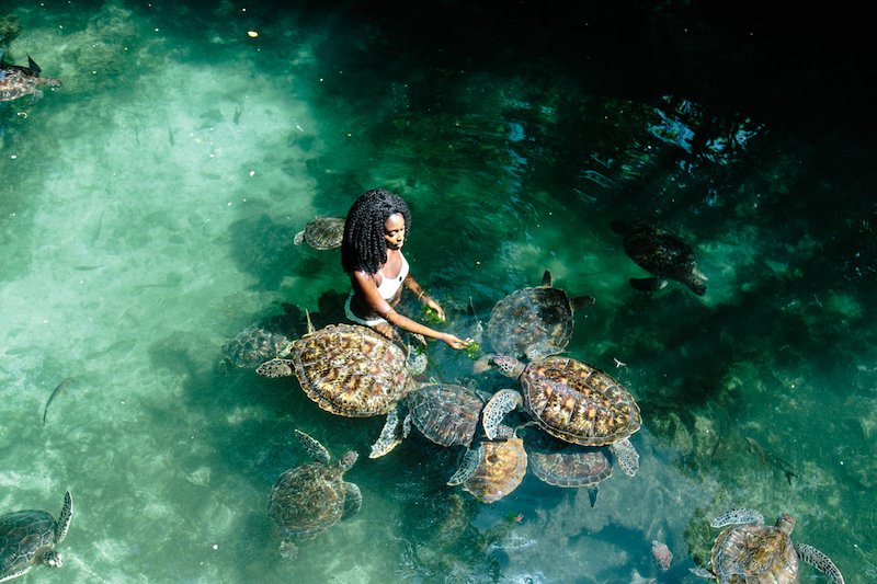 Baraka Natural Aquarium (Nungwi)